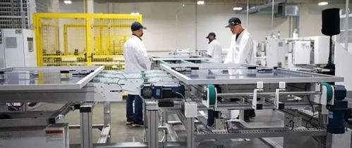 解密彭小峰美国地下大麻工厂 工人如何像动物一样被虐待