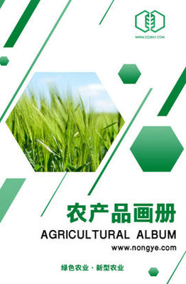 农业养殖产品:蜂蜜的营养价值