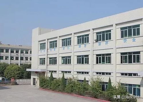 愤怒 东莞一小伙因工钱纠纷,与劳务中介在大街上发生肢体冲突
