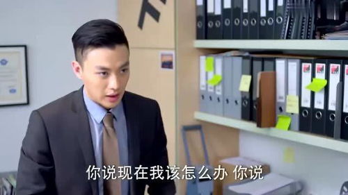 金牌律师 堂堂大律师被陷害,不料兄弟一招让小人永不翻身