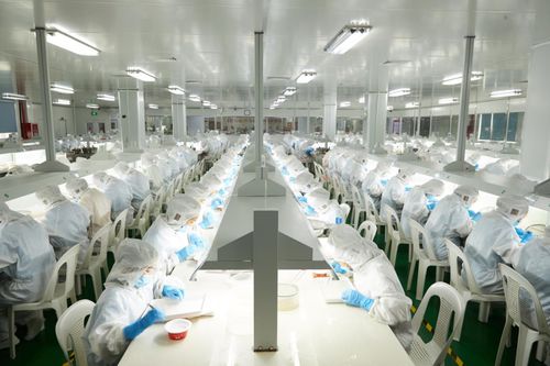 新儒商大咖论道开播 燕之屋畅谈企业创新，律师视角解读商业伦理